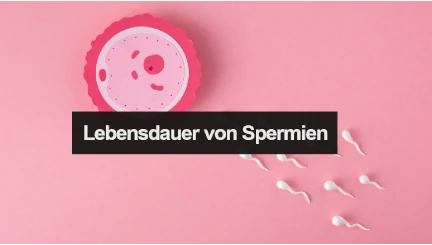 Lebensdauer von Spermien