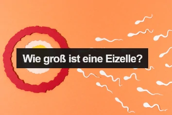 Größe einer Eizelle