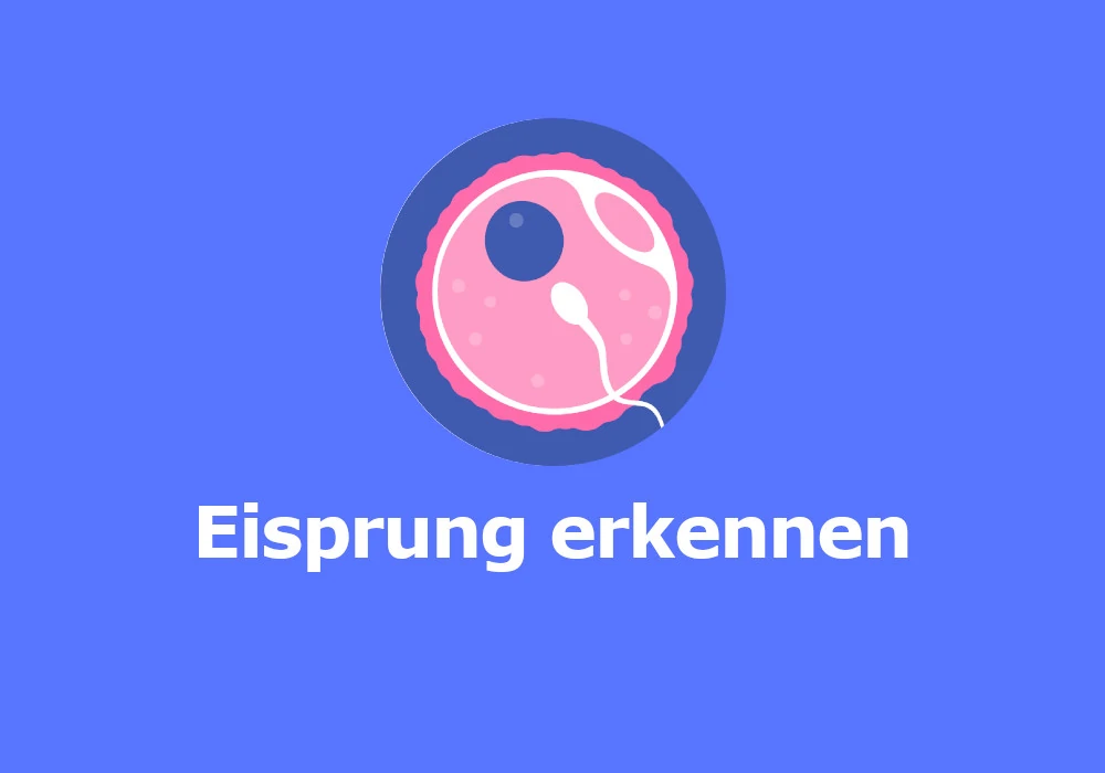 Eisprung erkennen