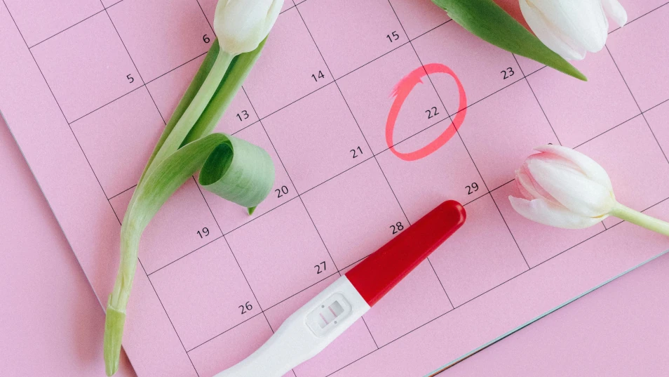 kann man den eisprung spüren